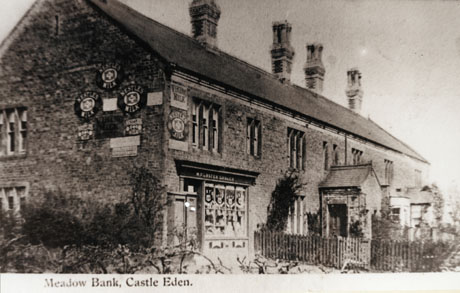Postcard photograph entitled Meadow Bank, Castle Eden, showing a terrace of three cottages, the nearest of which is a grocer's shop, kept by M. Forster; advertisements for Nestle's milk and Viking milk may be seen on the walls
