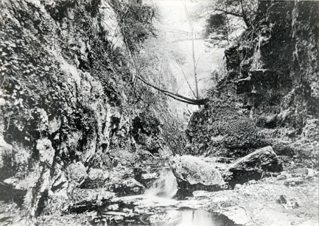 Photograph of Gunner's Pool, Castle Eden, looking along a ravine with the pool on the floor of the ravine and vegetation on the sides of the ravine and rocks on its floor; Devil's Bridge can be seen indistinctly at the top of the ravine