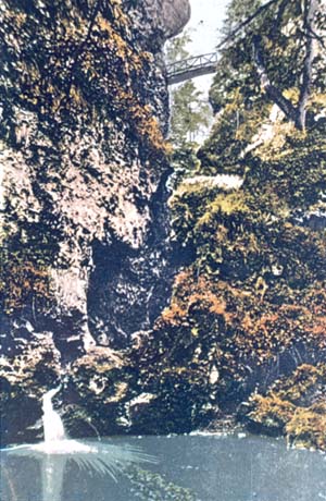 Postcard photograph showing a high cliff covered in vegetation on the left and trees on the right; at the top of the picture, a bridge can be seen and a stretch of water at the bottom; it has been identified as Gunners Pool, Castle Eden; this appears to be in a set with 0076