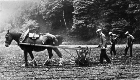 Photograph showing a horse harnessed to a plough which is being guided by a man wearing a jacket and cap; they are walking from right to left of the picture; behind them are two men hoeing the ploughed ground; behind the field are extensive woods; the picture has been identified as being in Deaf Hill