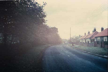 Photograph showing a road curving away from the camera; trees and bushes can be seen on the left and semi-detached bungalows on the right; the indistinct figure if a man is standing on the right and an indistinct car can be seen in the distance approaching the camera; the road has been identified as Thornley Road, Deaf Hill
