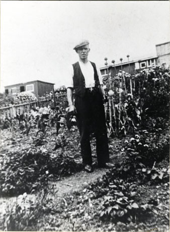 Photograph of a man standing on a path in an allotment surrounded by plants; he is wearing trousers, a waistcoat and cap; he is identified as Mr. Humphries at Easington Colliery