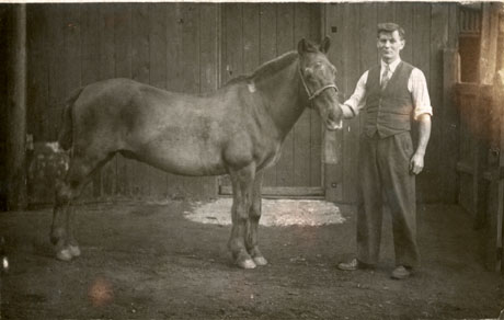 Photograph of a pony standing on an earth floor with a wooden wall and door behind and in front of him, presumably a stable; a man wearing a waistcoat, collar and tie is standing at his head holding his bridle; the photograph has been identified as being in Easington Colliery