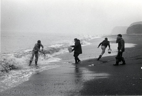Photograph showing four men dressed in boots and coats carrying buckets on a beach close to the breakers; the photograph shows the sea on the left and the cliffs on the right; the man standing closest to the sea is holding a net of some kind; they have been identified as being in Easington Colliery