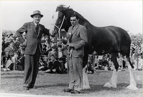 Photograph of a shire horse being held by a rope halter by a man in a suit holding a trophy; a second man dressed in a pinstripe suit and Trilby hat is also standing by the horse's head; behind the two men and the horse, crowds of adults and children can be seen sitting and kneeling on the ground; the photograph is described as Presentation to Cup Winner, Easington Show