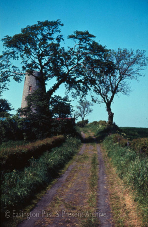 Photograph showing a narrow rutted lane running away from the camera, with low hedges either side; in the distance are a large tree either side of the narrow lane; behind that on the left is the circular building of a mill, which has been identified as Easington Village Mill