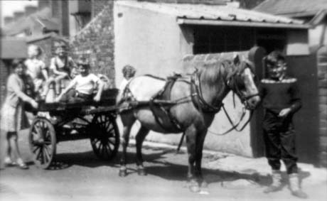 Photograph showing a pony in the shafts of a two-wheeled trap in which three children are sitting; a girl, aged approximately thirteen years, is standing next to the trap; a boy is standing behind the pony and a boy,aged approximately ten years, is standing at his head; the children and pony are in the road behind terraced houses