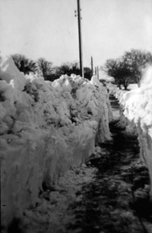 Photograph showing a narrow path between deep piles of snow; telegraph poles along the line of the path and leafless trees can be seen; the photograph has been described as Mrs. Jones's House under Snow, Haswell