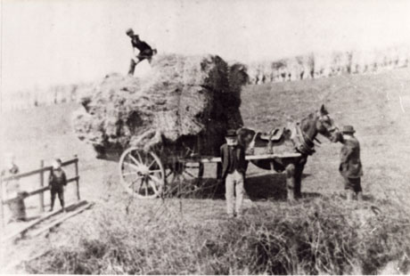 Photograph showing a waggon full of hay, harnessed to a horse; it is standing in a field with a man on top of the hay and a man standing at the horse's head; another man is standing in front of the waggon; a child can be seen standing next to a rail at the left of the picture; the field behind the group can be seen indistinctly; one of the men, presumably the man standing in front of the waggon, has been identified as Thomas Tate ````````````````````````````````````````````````````````````````````````````````````````````````````````````````````````````````````````````````````````````````````````````````````````````````````````````````````````````````````````````````````````````````````````````````````````````````````````````````````````````````````````````````````````````````````````````````````````````````````````````````````````````````````````````````````````````````````````````````````````````````````````````````````````````````````````````````````````````````````````````````````````````````