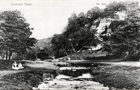 Postcard photograph entitled Hesleden Dene. No 2042 showing a stream in the middle of the photograph flowing away from the camera; on the banks of the stream two young girls can be seen indistinctly; on the right and left of the photograph, the banks of the stream and the surrounding slopes are covered on trees