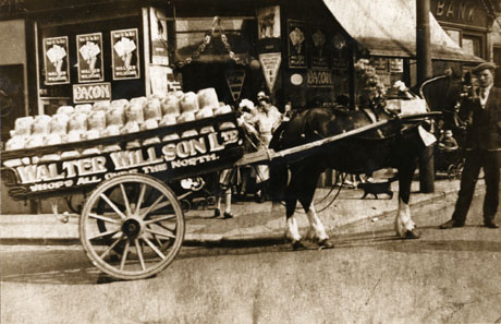 Photograph of a horse, standing in front of a shop belonging to Walter Willson, wearing a fancy pomade and harnessed to a cart with the words Walter Willson Ltd. Shops All Over The North; the shop is decorated with streamers and advertisements for bacon, eggs and bramble jelly; three people can be seen in front of the shop, and a child in a pushchair can be seen on the pavement, across which a cat can be seen walking; a man identified as J. Carruthers, Groom is standing at the horse's head; the cart has been described as Carnival Float