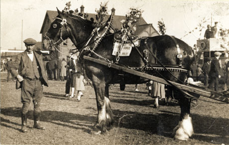 Photograph showing a large shire horse between the shafts of a cart which is out of the picture and a groom at its head; the horse is decorated with hoops of flowers and has a sign attached to its back reading; Hospital Carnival First Prize; behind the horse people can be seen in the field and the roof of a house; to the right a group of people can be seen at an unidentified attraction; the carnival has been identified as being in Horden