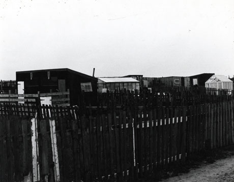 Photograph showing, in the foreground, a fence beyond which more fences and sheds and greenhouses can be seen; the photograph has been described as Allotments and Greenhouses, Horden, 1976