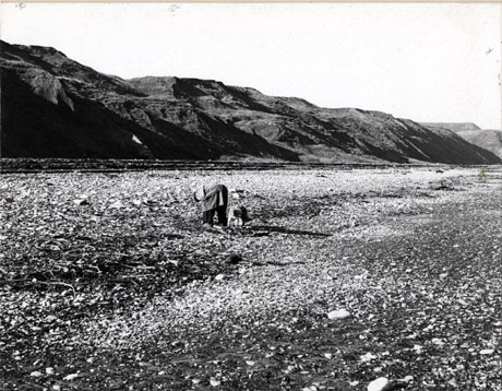 Photograph, looking inland to the dunes, of the beach at Horden; in the middle ground a man and a dog can be seen; the man is stooping to pick something from the surface of the beach; the photograph is described as Sea Coal Collecting, Horden Beach 1976