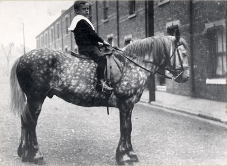 Photograph, close-up, of a boy, aged approximately ten years, sitting on a horse in a road lined with terraced houses; the photograph is described as Joe King - Coal Merchant, Horden, On Dando