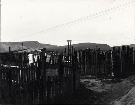 Photograph showing, in the foreground, rough fences and sheds behind the fences; behind the sheds hills can be seen; the photograph is described as Allotments and Waste Tip, Also Beach Cliffs, Horden, 1976