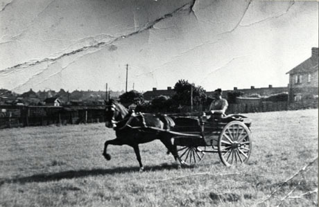 Photograph of horse pulling a trotting cart, with two wheels, across a field, with houses in the distance; the photograph has been identified as taking place on Joe Hall's Farm, Horden