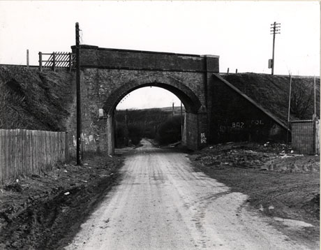 Photograph of a road leading away from the camera under a railway bridge and into the country side; beyond the railway bridge the road is lined with trees; the photograph is described as Railway Bridge to Beach Road