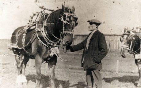 Photograph of a horse decorated with flowers and ornaments, accompanied by a man holding its head; the man is dressed in a flat cap and a large jacket, who has been identified as J. Legge, groom; the horse has a ticket bearing a number attached to its harness; the photograph has been identified as being taken on the occasion of the Horden Carnival in the 1930s