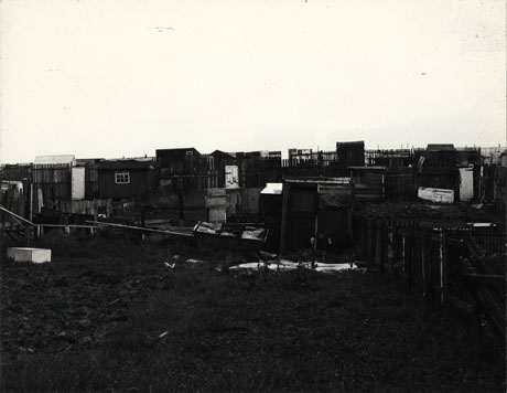 Photograph of sheds on allotments at Horden; behind the sheds a fence can be partly seen and a fence dividing the allotments can be seen at the right of the photograph; the sheds are made from rough timber, and doors and window frames which appear to have been rescued from other buildings
