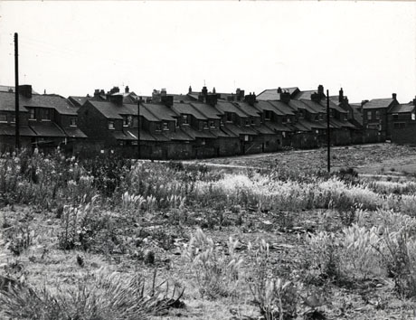Photograph identified as Demolition, Horden, showing in the foreground an expanse of empty ground covered in weeds; in the distance the back of a row of terraced houses can be seen, with the roofs of other houses beyond