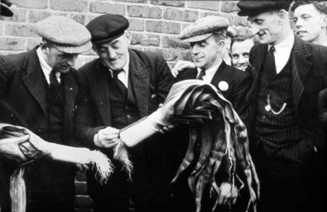 Photograph of four men dressed in suits, ties and caps, inspecting two large leeks; the heads of two men can be seen watching; the photograph has been described as Judges Measuring Leeks, Horden