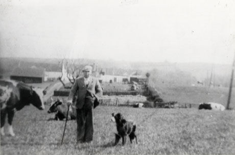 Photograph of a man standing in a field leaning on a stick and accompanied by a dog; two cows can also be seen in the field; in the distance further fields and the buildings of a farm can be seen; the photograph has been identified as Farmer and Dog, Hutton Henry