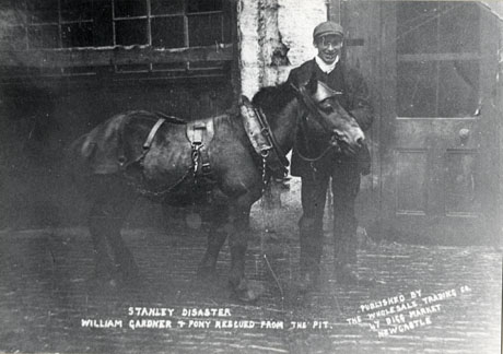 Postcard photograph, entitled Stanley Disaster William Gardner and Pony Rescued From The Pit, showing a young man in cap, jacket, scarf, waistcoat, trousers, and boots, standing behind the head of a pony wearing his harness; they are in front of a door, wall and window