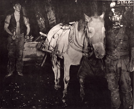 Photograph of a pit pony facing the camera, harnessed to a tub, which can be seen behind him; a miner, smoking a pipe and wearing a helmet and trousers and waistcoat, is standing at the pony's head; another miner is standing behind the pony near the tub; they have been identified as miners and a pony in a drift mine