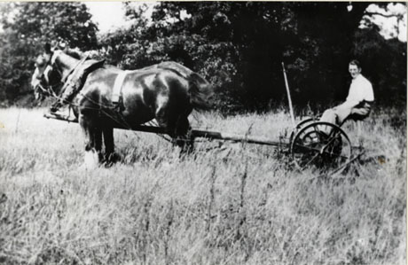 Photograph of a man sitting on an agricultural implement drawn by two horses in a field; the grass in the field is long and the vegetation on the trees behind the man and horses is typical of summer; the man and horses can be seen from the side; the man has been identified as Mr. Hume, 1932