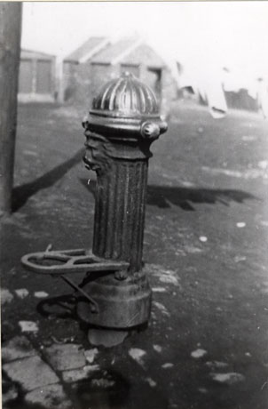 Photograph of a water pump with a lion's mouth on it; the pump has a fluted stem and a fluted domed top; in the distance very indistinct buildings and washing can be seen; the ground immediately round the pump is rough
