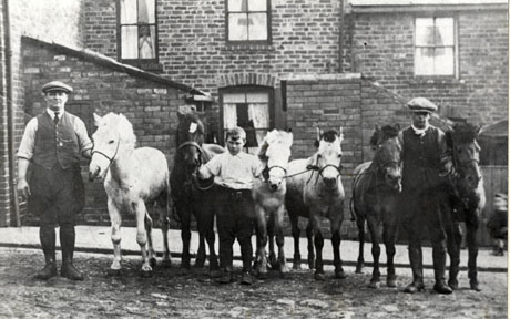 Photograph of six ponies standing in a row, with a man at each end, and a boy of approximately ten years in the middle; behind them are the backs of two terraced houses shoeing four windows and the side of an outhouse; a figure can be seen at the upper window of one of the houses; the men are wearing waistcoats, flat caps,and gaiters