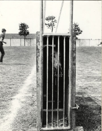 Photograph of the exterior of a trap in which a whippet can be seen, waiting to start a race; the trap is a narrow steel structure with four bars at the front; an indistinct figure can be seen in the distance