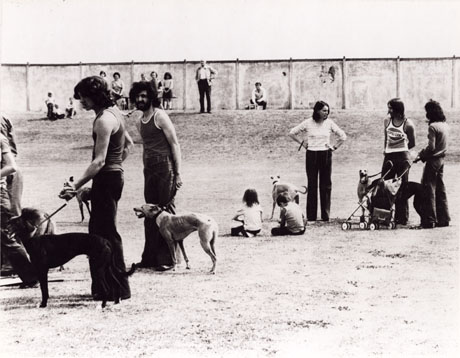 Photograph of a field surrounded by a wall; approximately ten people are standing by the wall in the distance; in the foreground on the left of the picture are two young men with whippets on leads; on the right of the photograph are two men, a woman and two children with three whippets and a pushchair