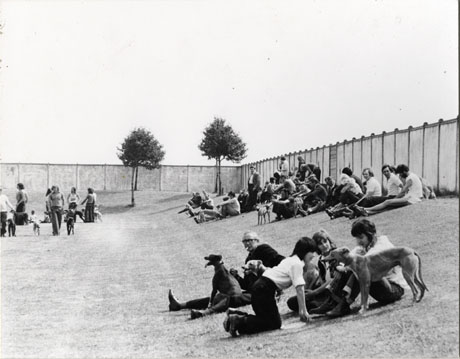 Photograph of groups of people sitting on a slope on grass inside a fence, as in pete0022; the groups all have whippets with them; seven people, also with whippets, can be seen walking on the grass near the slope; the photograph is taken from the side of the groups; the group at the front of the picture shows a man, three boys and three whippets
