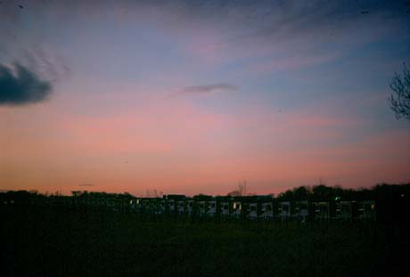 Photograph showing a pink and blue sky at sunset with an indistinct view of flat-roofed houses, which have been identified as being in Peterlee