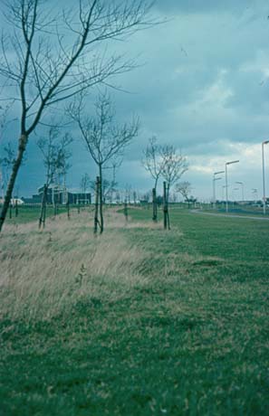 Photograph looking along a wide grass verge, with saplings on it, towards a church in the distance; on the right are neon lights and the side of a road; the photograph has been identified as being in Peterlee