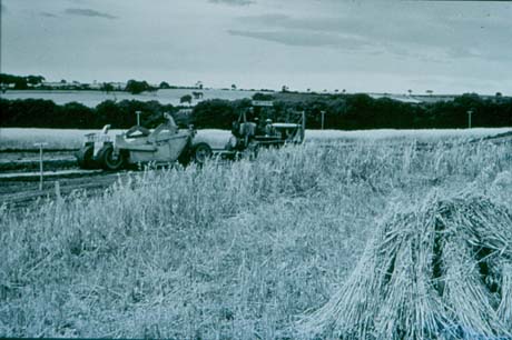 Photograph showing, in the foreground, a field of hay with an agricultural machine working in the field in the centre of the picture; fields and hedges can be seen in the distance; the photograph has been described as being in Peterlee