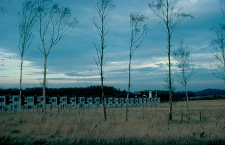 Photograph, taken at twilight, showing a block of flat-roofed houses on the right of the photograph and a row of houses in the centre of the photograph, which has been identified as being in Peterlee; behind the houses are trees and there are trees in the foreground