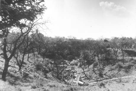 Photograph of a shallow valley, with scrub on it, running away from the camera; it has been identified as Dene Park Site Before Construction