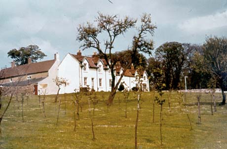 Photograph showing the front and side of a block of three white houses with dormer windows, standing at right angles to another block, the back of which can be seen; the photograph is taken across a piece of grass planted with saplings; it has been identified as Old Shotton