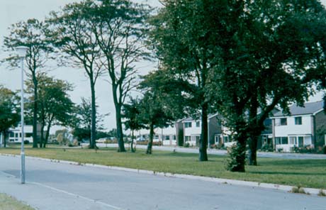 Photograph showing a road running across the picture with trees on the opposite verge and, behind them, detached houses of approximately the 1970s with picture widows and porches; the photograph has been identified as Old Shotton