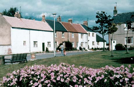Photograph of a bed of pink flowers and a green with a road running along behind it; on the opposite side of the road are six cottages of the nineteenth century or earlier, painted in pastel colours; a woman is pushing a pushchair along the road; the photograph has been described as Old Shotton