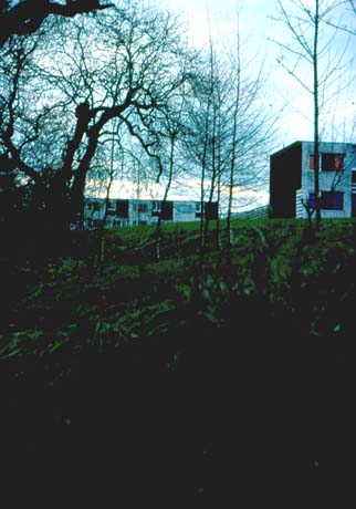 Photograph showing the side of a slope with the ends of flat-roofed houses of brick and wood, at the top of the slope; the photograph has been described as View Overlooking the Dene, Peterlee