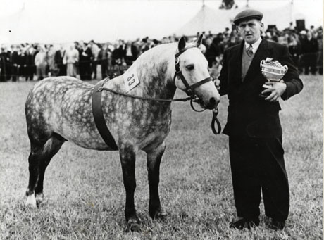 Photograph of a dapple grey horse with the number 33 on its back; a man in suit, tie and cap is standing at its head and carrying a trophy cup; behind them in the distance very indistinct crowds, and the top of a marquee, can be seen