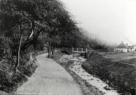 Postcard photograph entitled In Dawdon Dene, Seaham Harbour, showing, on the left, trees and bushes on the left of a path running away from the camera; a stream runs along the path on the right; in the middle distance a footbridge crosses the stream near a house which can be seen on the right of the picture; the house has been identified as Brydon's Clydesdale Stud Farm early 1900s beside Dalden Towers