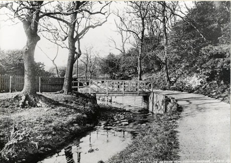 Photograph showing a stream curving away from the camera to the left, with a path running alongside it; a footbridge crosses the stream in the middle distance; the photograph has been identified as Dawdon Dene, Seaham Harbour; the bridge does not resemble that in seah0147