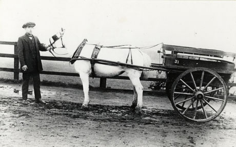 Photograph of a pony harnessed to a small two-wheeled trap, with a young man, wearing a long coat and cap and smoking a cigarette, at its head; the trap has the number 31 on it ; the photograph has been described as Busing Trap on Knack Road, Seaham; the road under the pony's hooves is muddy and behind the pony is a fence and a field
