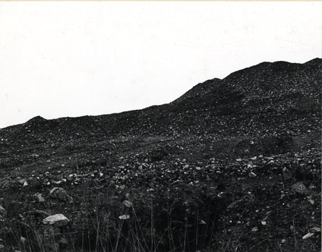 Photograph, taken from below, of the surface of the pit heap at Shotton; the surface can be seen close up and the outline of the heap against the sky can be seen