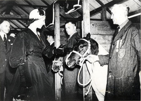 Photograph of Queen Elizabeth II visiting The Royal Show at Newton Abbot, where she is looking at the entry for County Durham in the Show, Sweep a pony; the Queen is wearing a dress with wide sleeves and tight bodice; she is standing on the left of the picture and her profile can be seen; behind her is a man in a suit and to her right are two pit ponies in their stalls, each with its handler; the handler nearer the camera is wearing an overall with the initials, N.C.B., on its pocket and two medals', presumably won during the Second World War; one of the men, described as being Centre in the picture, has been identified as Mr. R. Young, Head Horse Keeper at Easington Colliery and later at Shotton Colliery